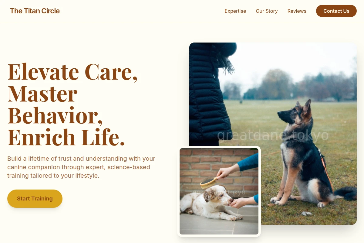 Haven Dog Training