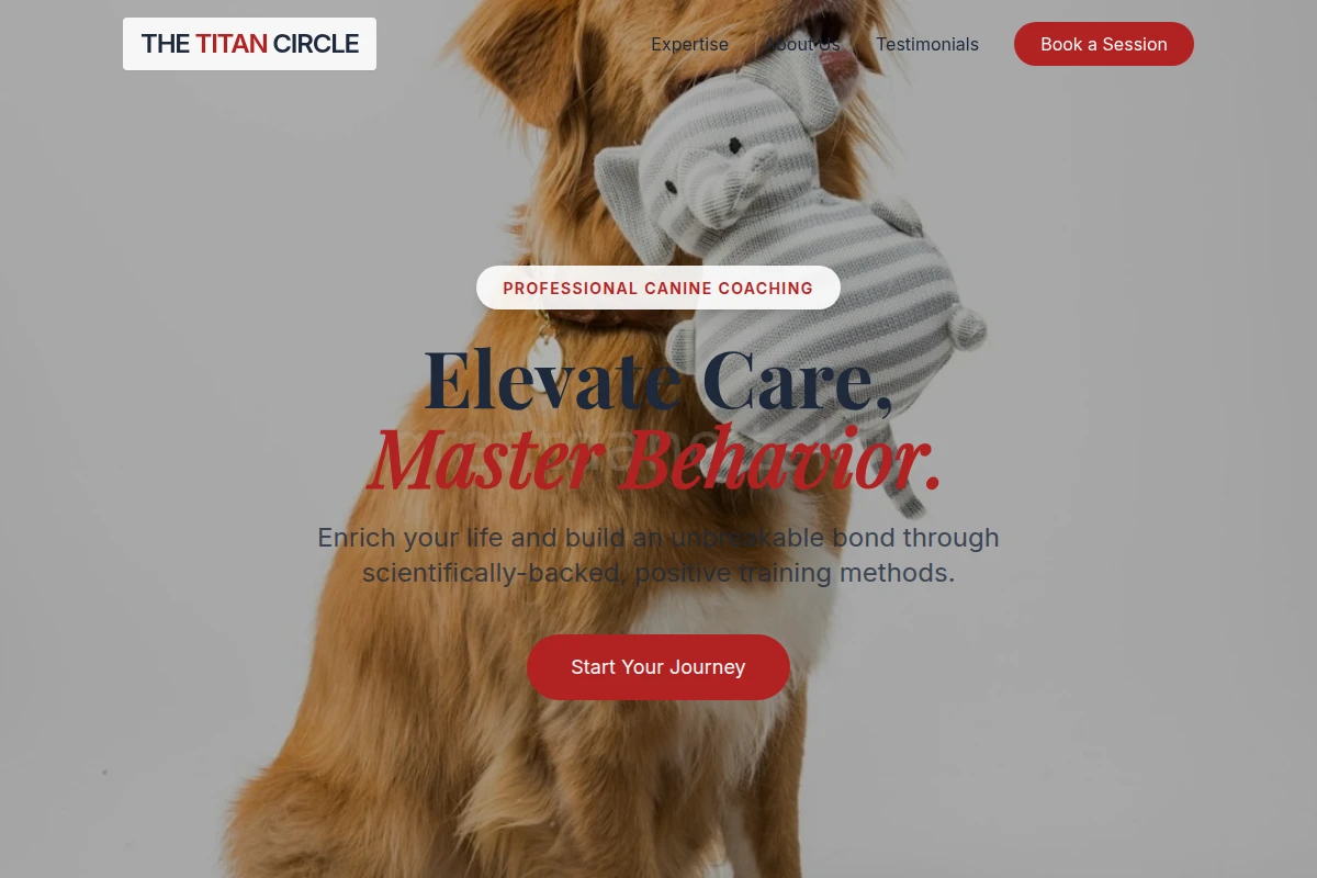 dog-training