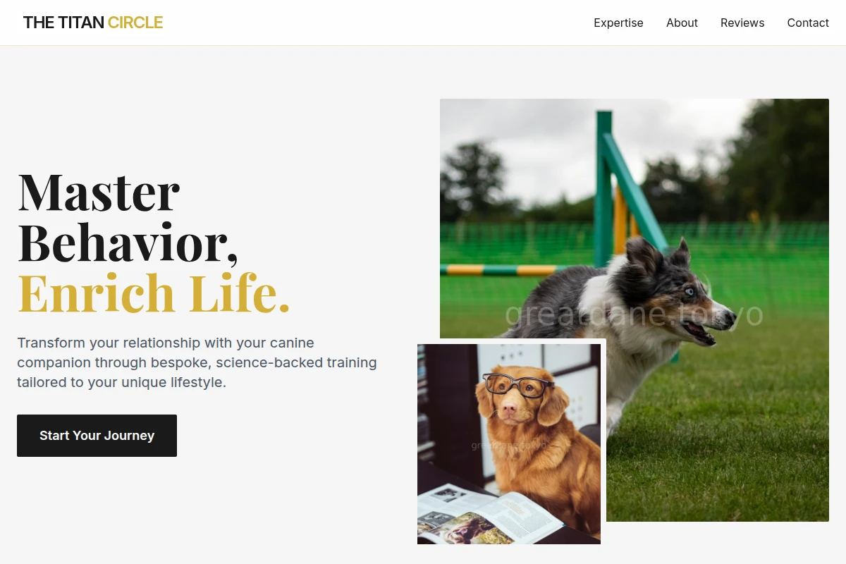 Tailored Dog Training