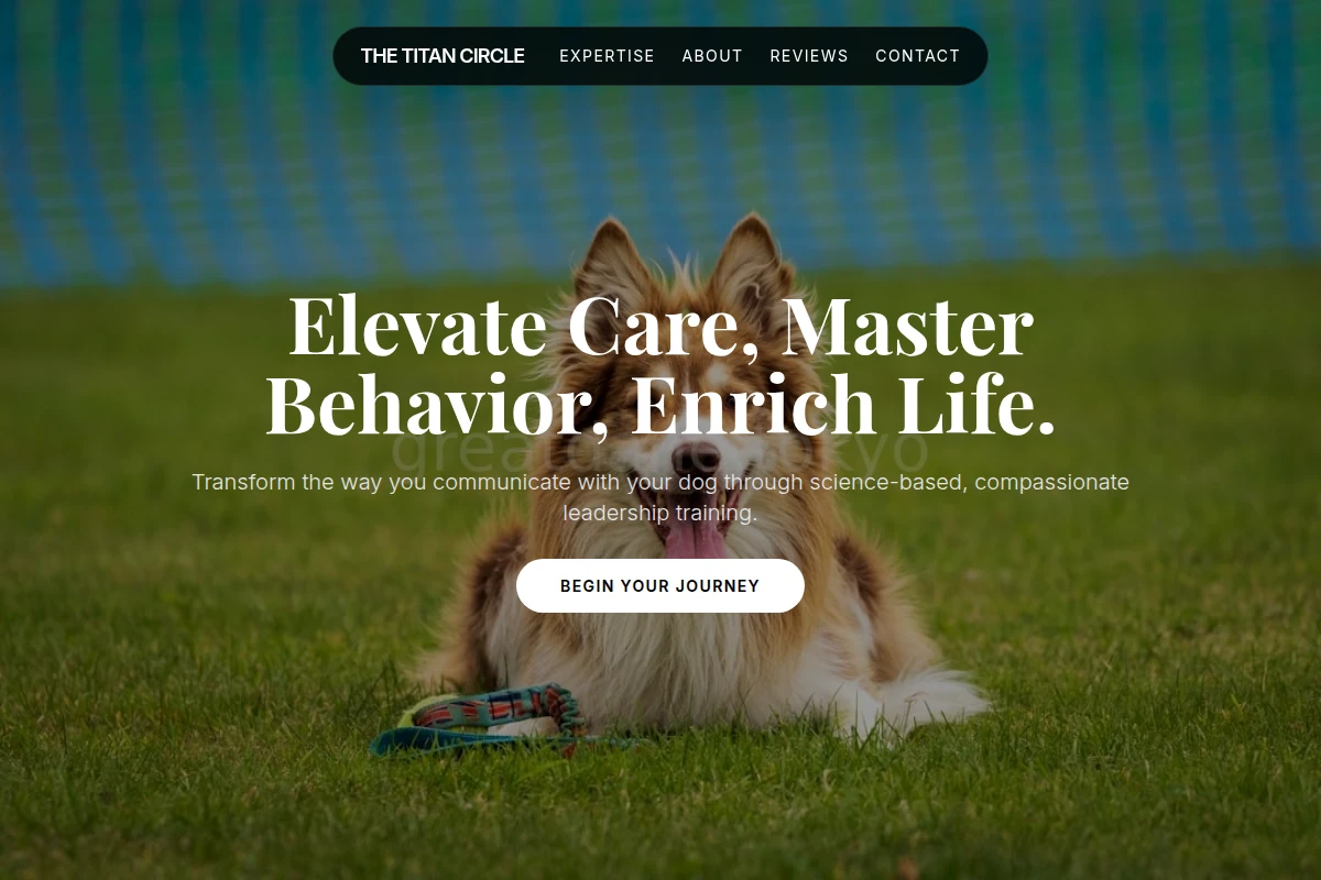 Collar Dog Training