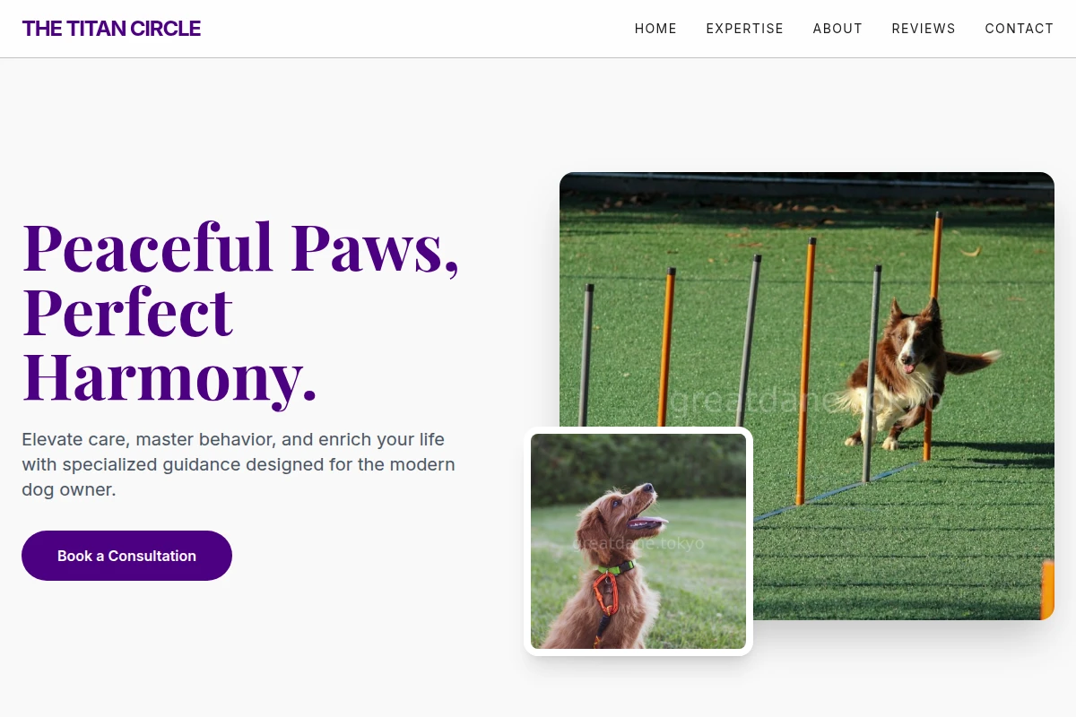 Calm Dog Training